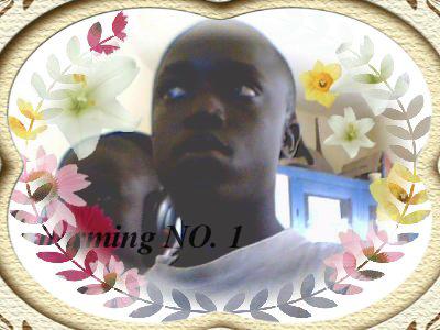 ansou le roi